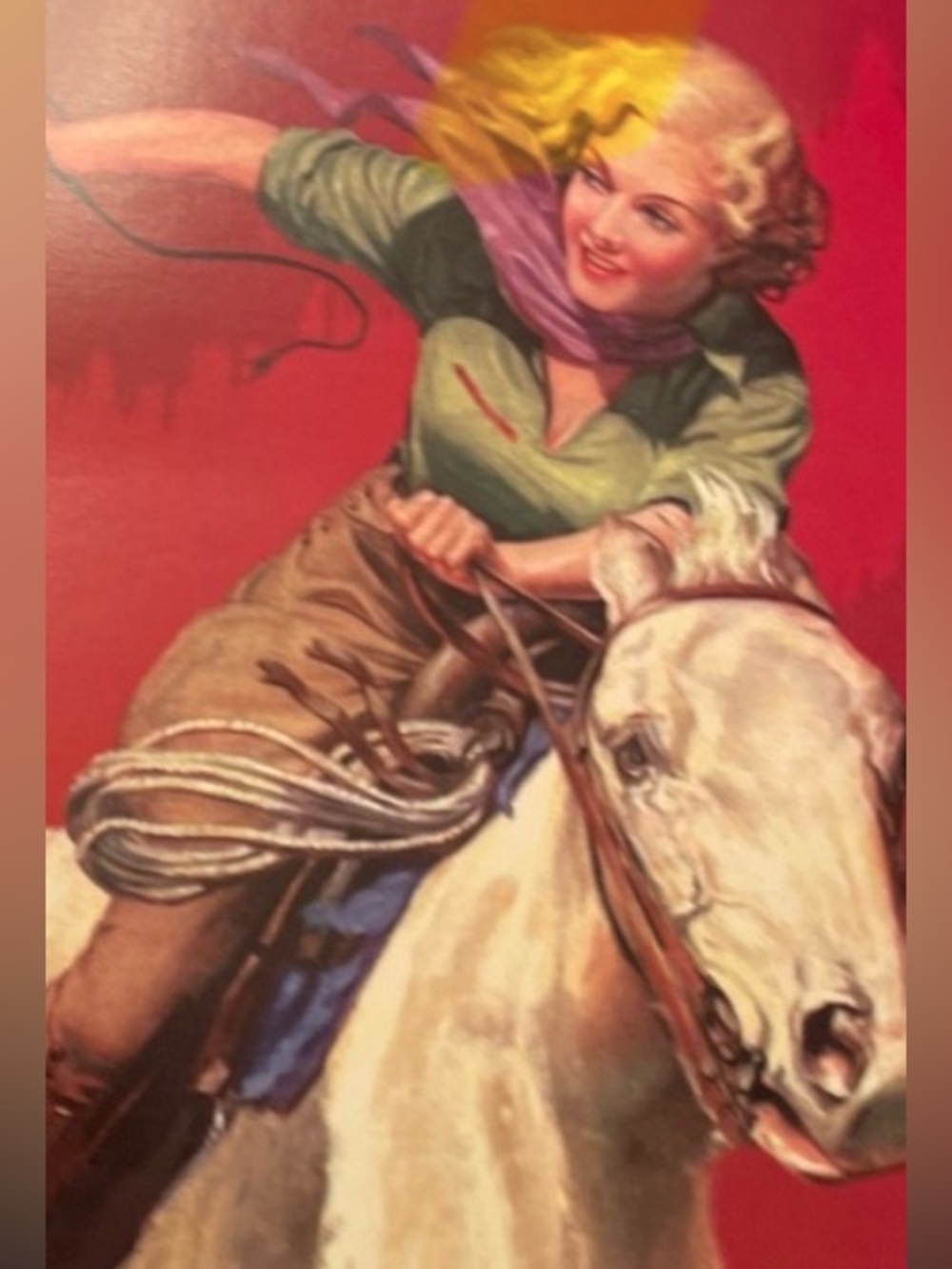 new seasons boxed cowgirl card & envelope set includes gold pen & stickers